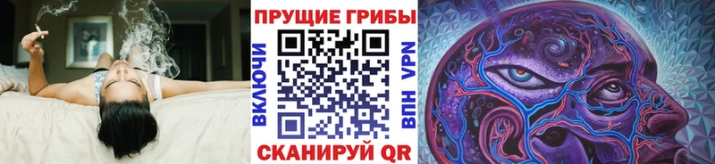 Галлюциногенные грибы MAGIC MUSHROOMS Тюкалинск