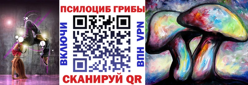 Псилоцибиновые грибы Magic Shrooms  где купить наркотик  Тюкалинск 